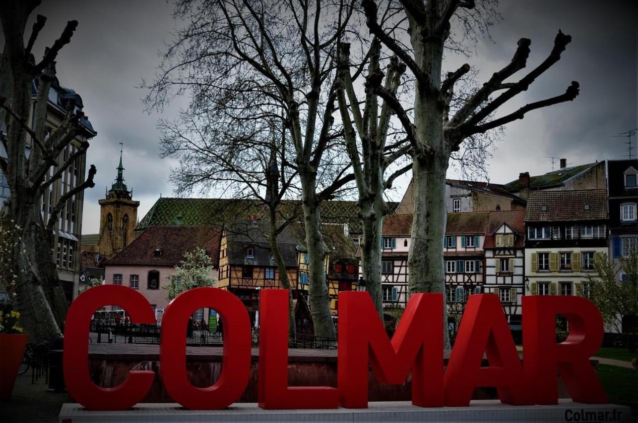 Charmant Appartement Cosy Porte De Colmar Sainte-Croix-en-Plaine Eksteriør bilde